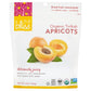 Dried Fruit | 6 Pack