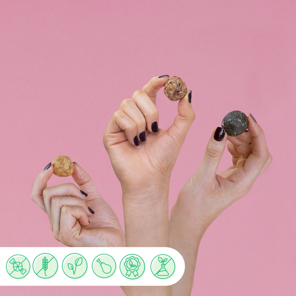 Bitewell Box | Vegan